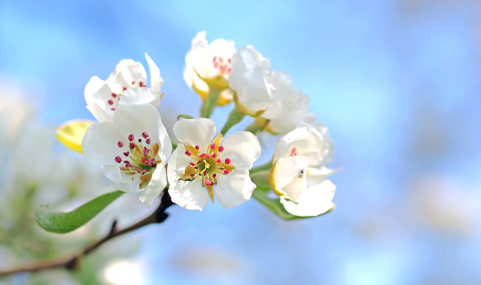 桜区の学童クラブ挿入画像