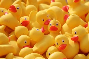 子どもの引率の記事の挿入画像