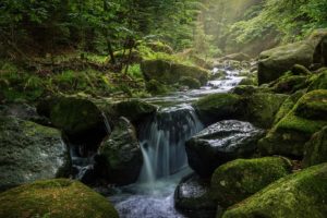 荒川区の学童クラブの記事の挿入画像