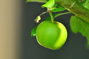 保育士になるために勉強することの記事の挿入画像