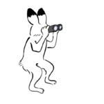 見てくる