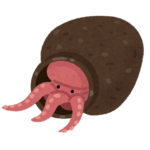 タコ