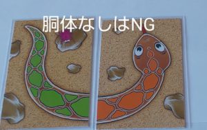 どうなしヘビ