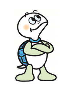 かめ太郎