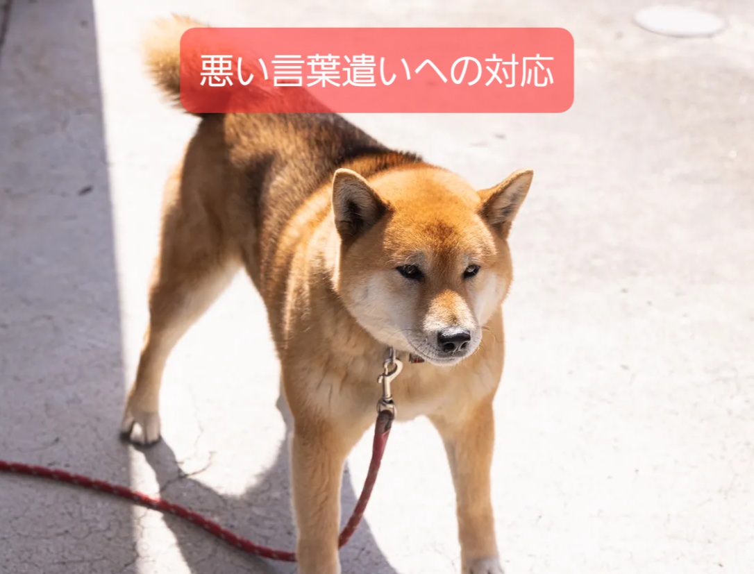 子どもの悪い言葉遣い 学童期の直し方はたったの２要素