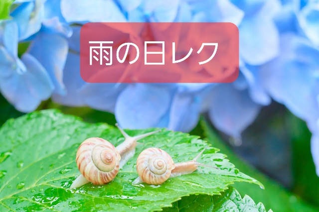 雨の日レク 室内レク 運動遊びを子どもと部屋でも ページ2 雨の日レク 室内レク 運動遊びを子どもと部屋でも ページ2